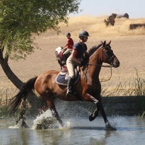 Meet your Posher, Elsa